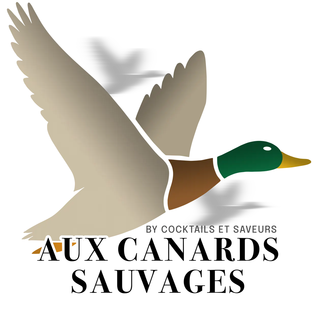 Aux Canards Sauvages – Traiteur & Boucherie